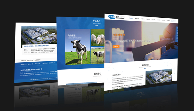 北京網(wǎng)站建設關于企業(yè)網(wǎng)站建設的解決方案